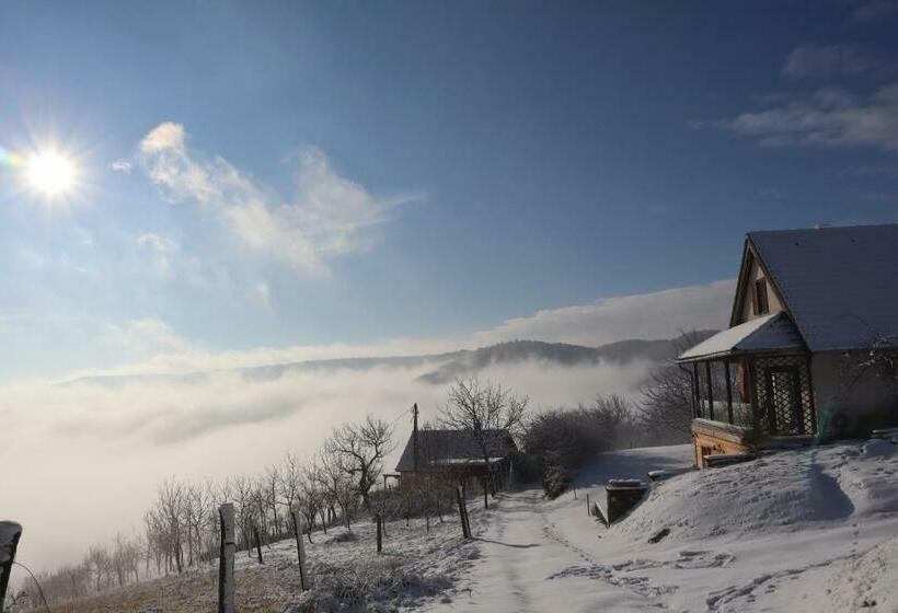 膳宿费 Memory Vendégház