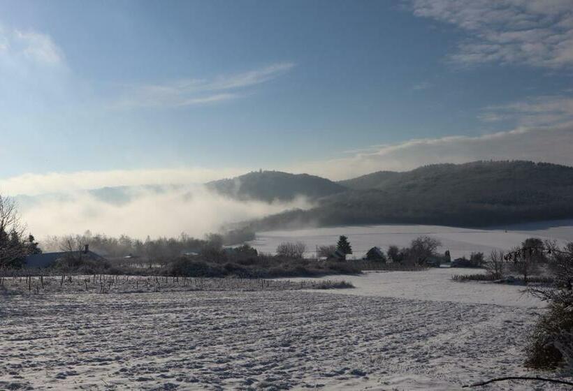 膳宿费 Memory Vendégház