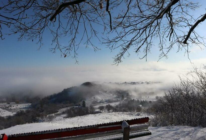 膳宿费 Memory Vendégház