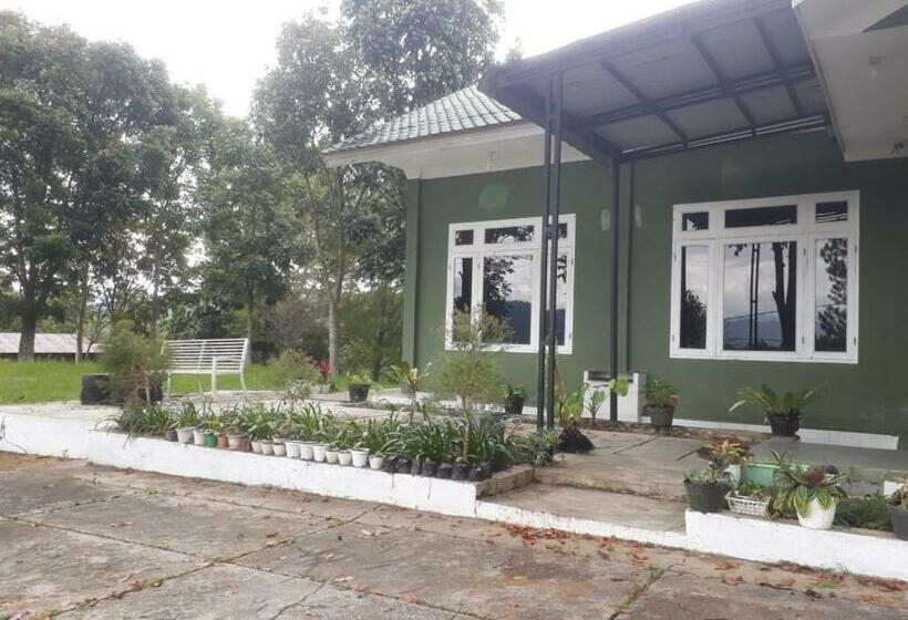 פנסיון Wisma Greenville