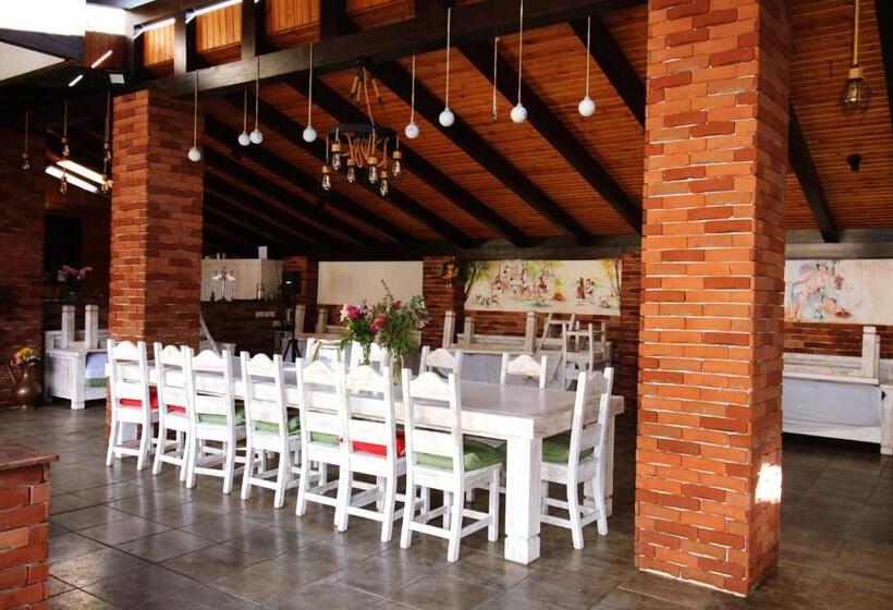 Pensiunea Adolescenta