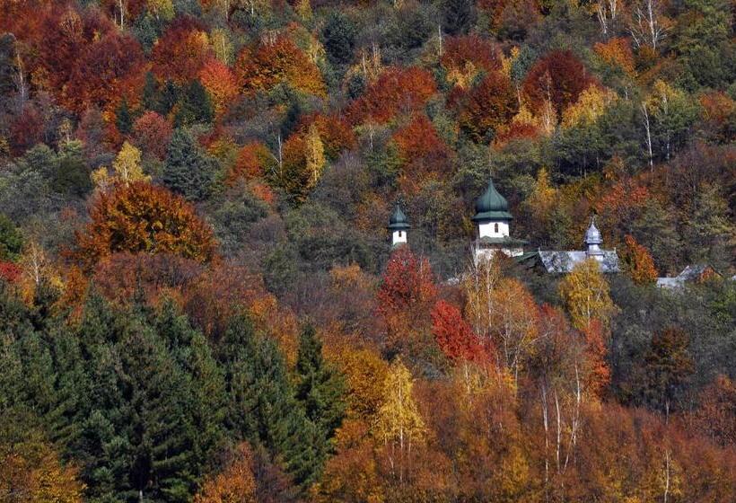 Pensiunea Adolescenta