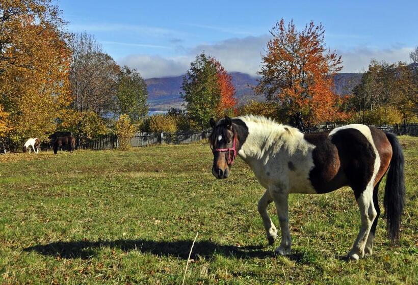 Pensiunea Adolescenta