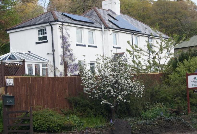 Arfryn House Bed And Breakfast