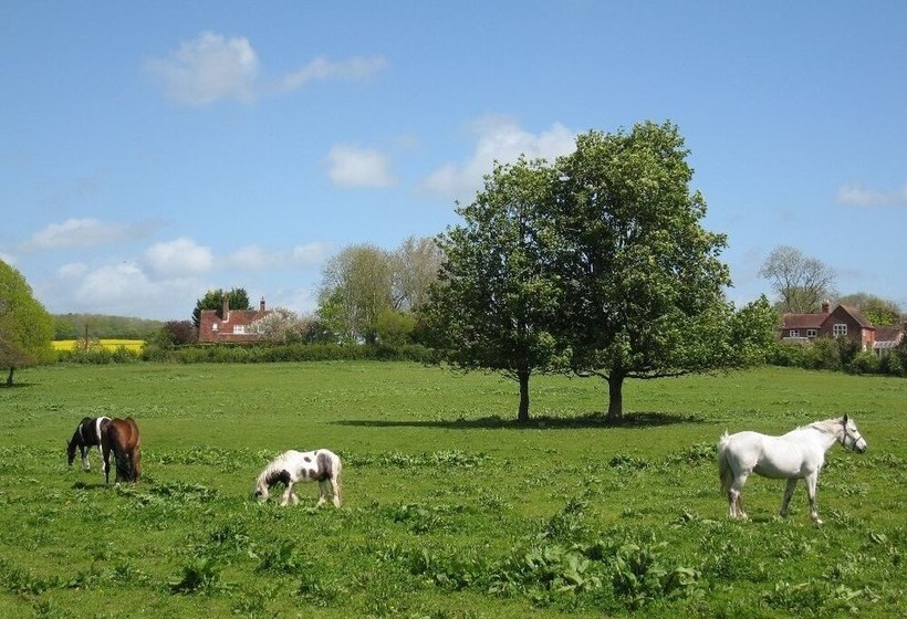 ベッドアンドブレックファースト 32 The Green