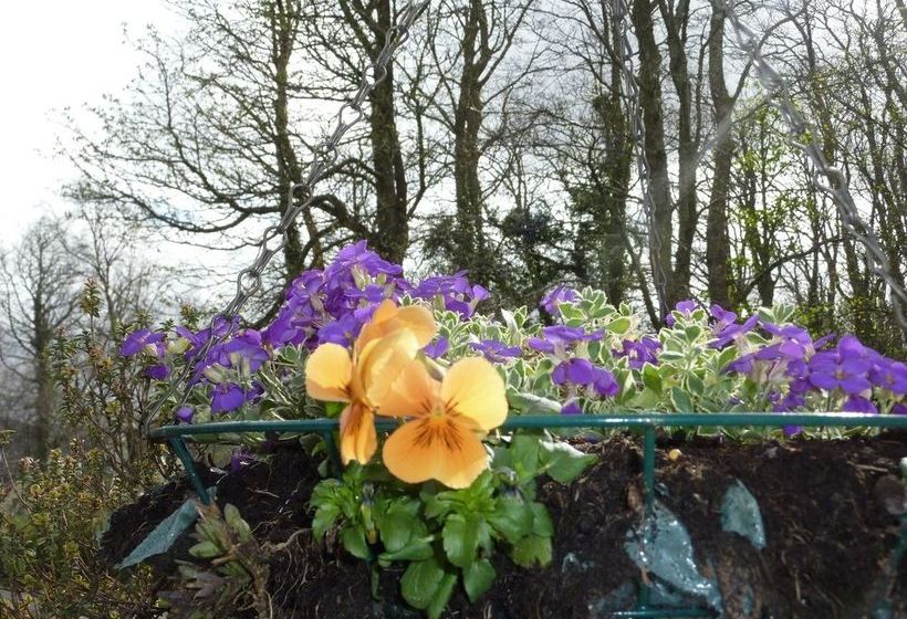 Conusg Bed And Breakfast