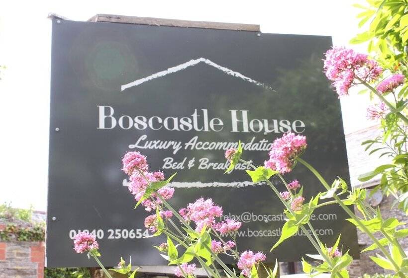 مبيت وإفطار Boscastle House