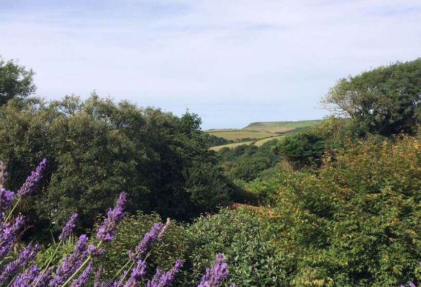 مبيت وإفطار Boscastle House