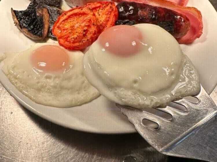 Bed and Breakfast Brickfields Farm