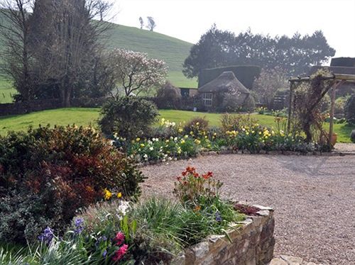 مبيت وإفطار Bulleigh Barton Manor