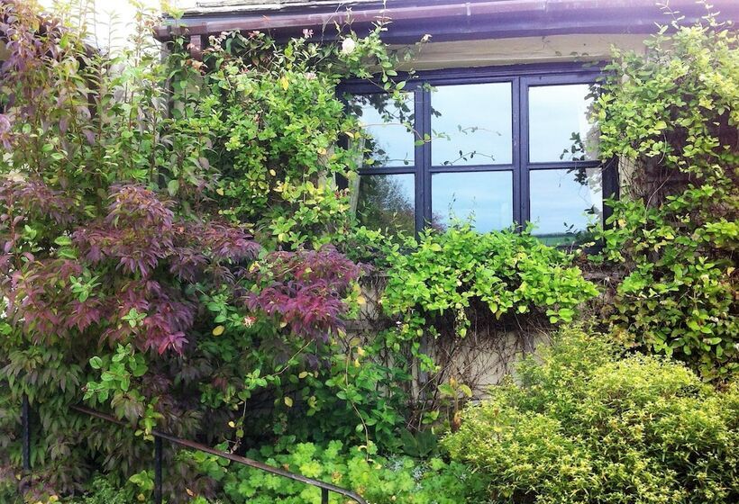 ベッドアンドブレックファースト Hafan Deg