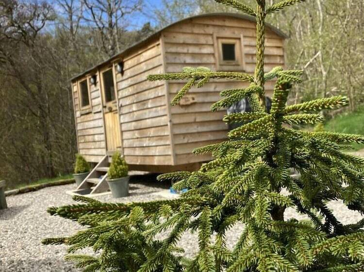 住宿加早餐 Highland Bear Lodge & Luxury Bear Huts