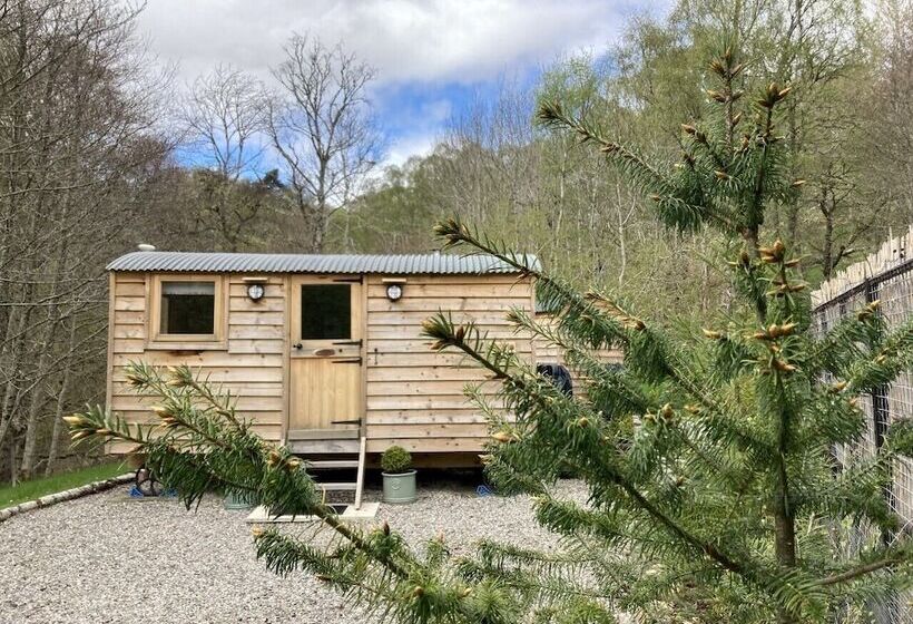 住宿加早餐 Highland Bear Lodge & Luxury Bear Huts