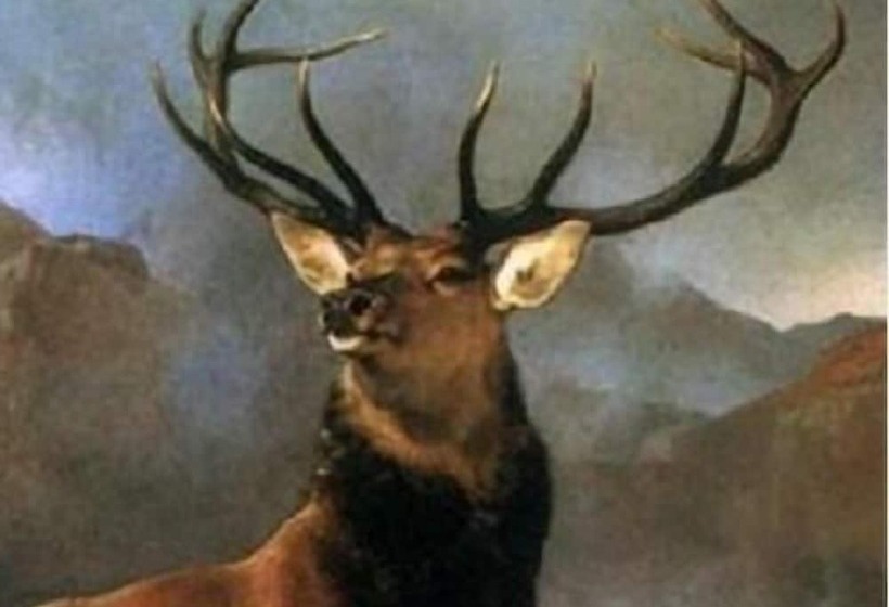 住宿加早餐 Highland Bear Lodge & Luxury Bear Huts