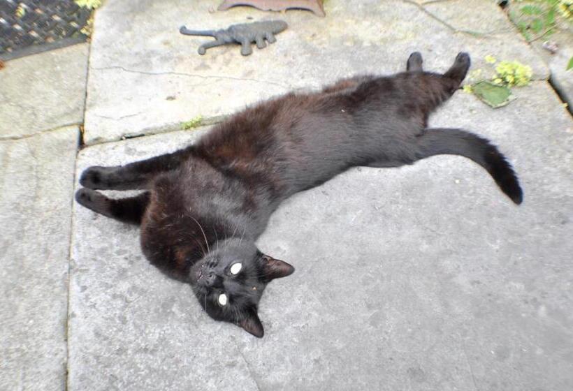 مبيت وإفطار Longbridge House