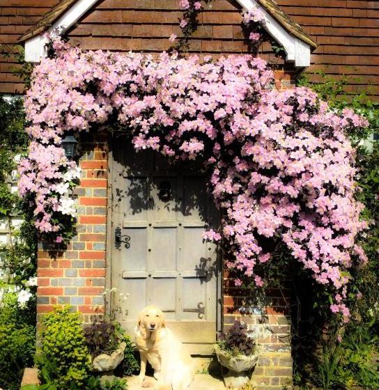 Bed and Breakfast Starnash Farmhouse