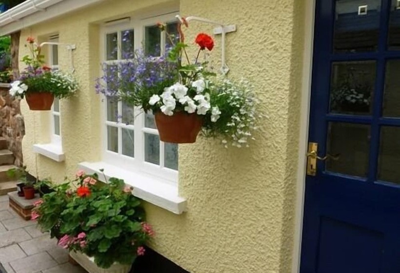 ベッドアンドブレックファースト Taw Vale