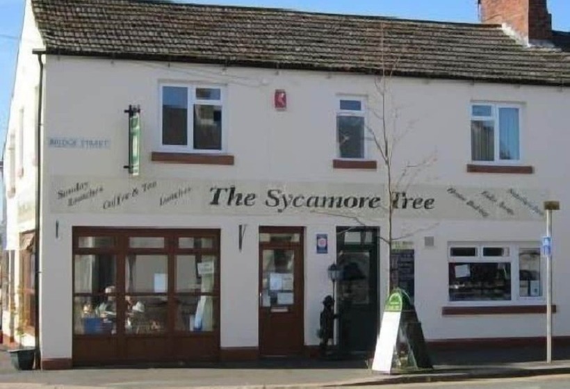 Bed and Breakfast The Sycamore Tree