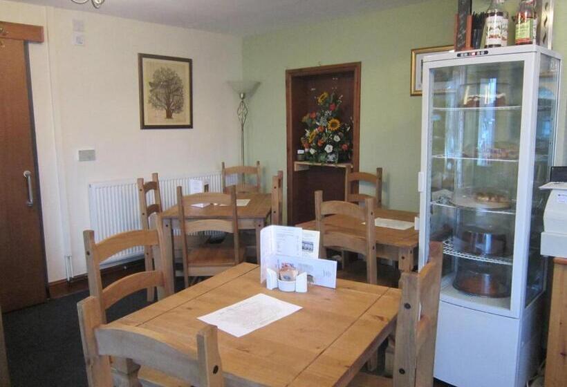 Bed and Breakfast The Sycamore Tree