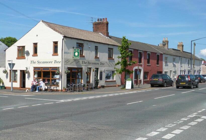 Bed and Breakfast The Sycamore Tree