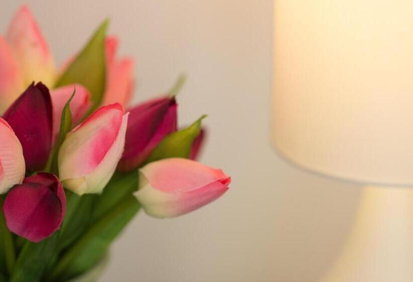 Cambridge Orchard Apartments   2 Double Bedrooms