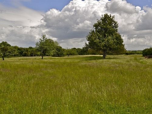 Capland Farm Bed & Breakfast