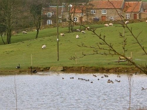 Grange Farm Cottages