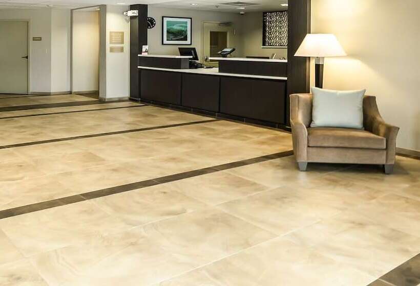 فندق Candlewood Suites Gonzales   Baton Rouge Area, An Ihg