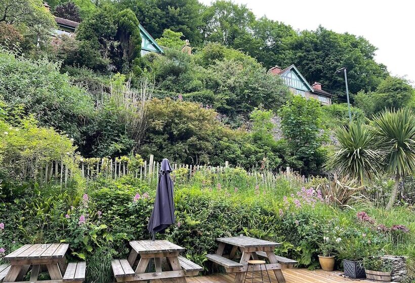 בית מלון כפרי Cottage Inn