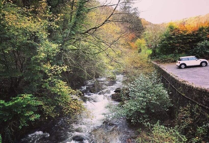 בית מלון כפרי Cottage Inn