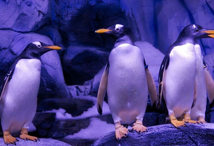 Hotel Crowne Plaza Florya Istanbul, An Ihg