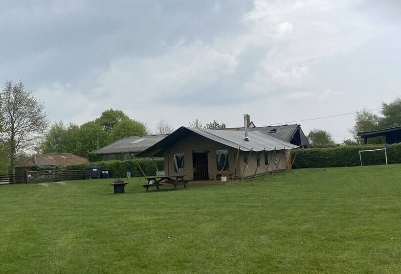 ホテル Dawn Chorus Holidays