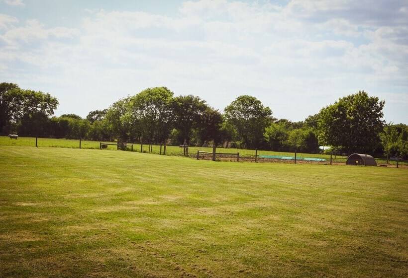 ホテル Dawn Chorus Holidays