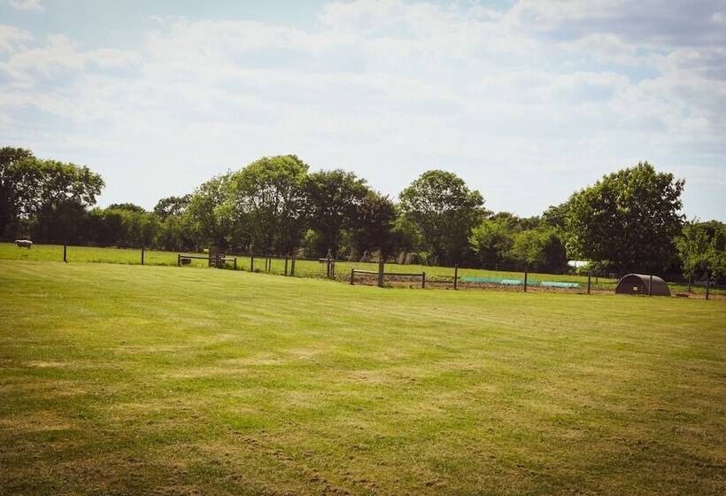 ホテル Dawn Chorus Holidays