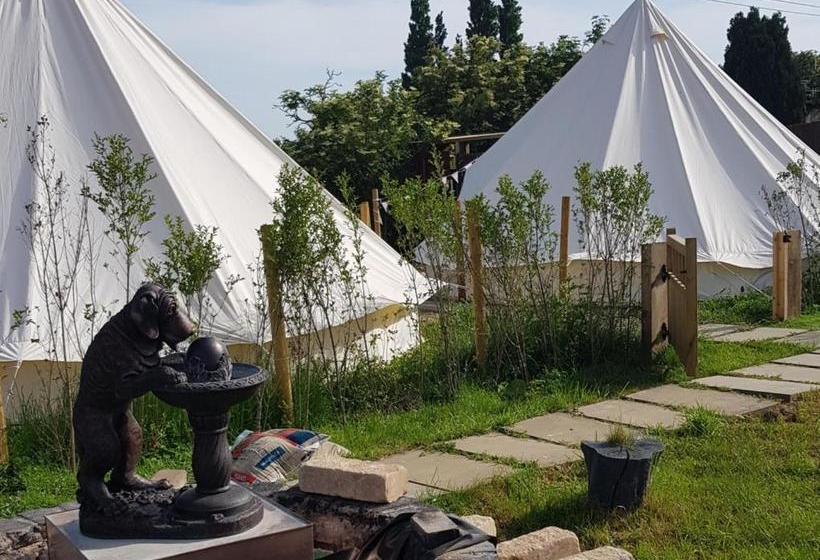 酒店 The Dog In A Doublet