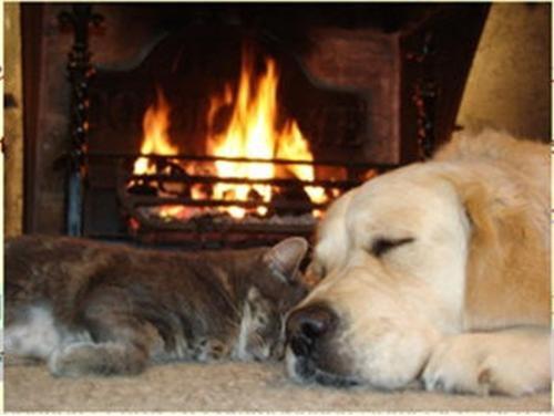 酒店 Double Gate B&b