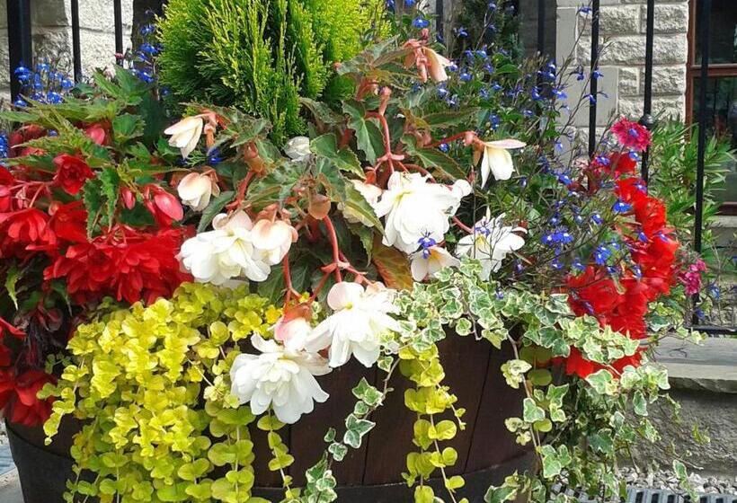 Отель Ferraris Country House