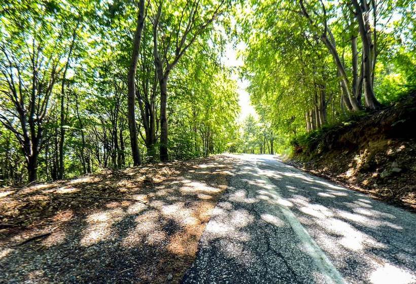 בית מלון כפרי Hani Zisi