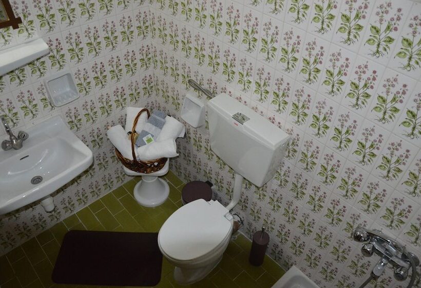 בית מלון כפרי Hani Zisi