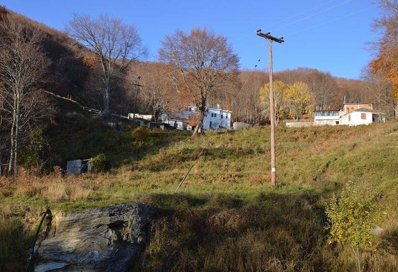 בית מלון כפרי Hani Zisi