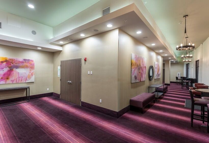 Отель Holiday Inn San Marcos Convention Center, An Ihg