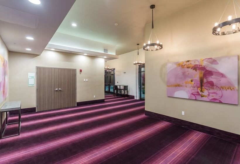 Отель Holiday Inn San Marcos Convention Center, An Ihg