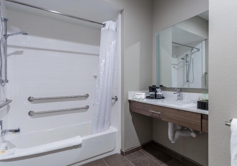 Отель Holiday Inn San Marcos Convention Center, An Ihg