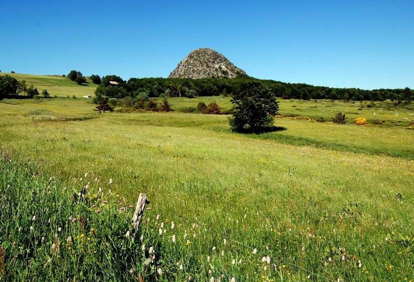 ホテル Hôtel La Gravenne