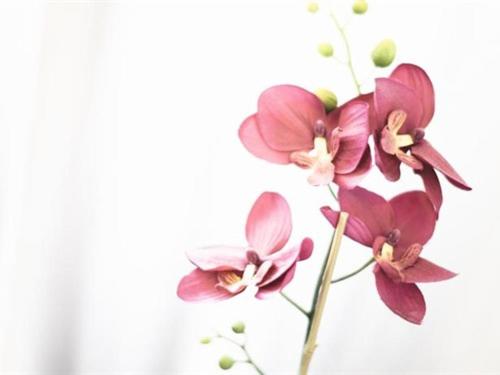 فندق Hôtel Restaurant Le Lion D Or