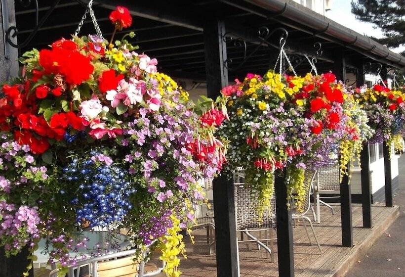 Отель Leaking Well, Dunhampton