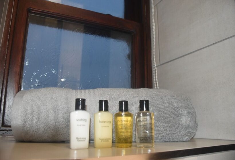 Отель Old Silent Inn