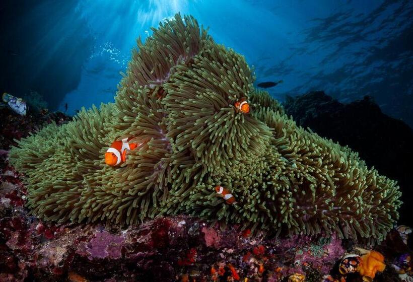 בית מלון כפרי Siddhartha Oceanfront Resort & Spa Bali