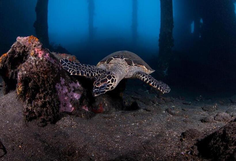 בית מלון כפרי Siddhartha Oceanfront Resort & Spa Bali