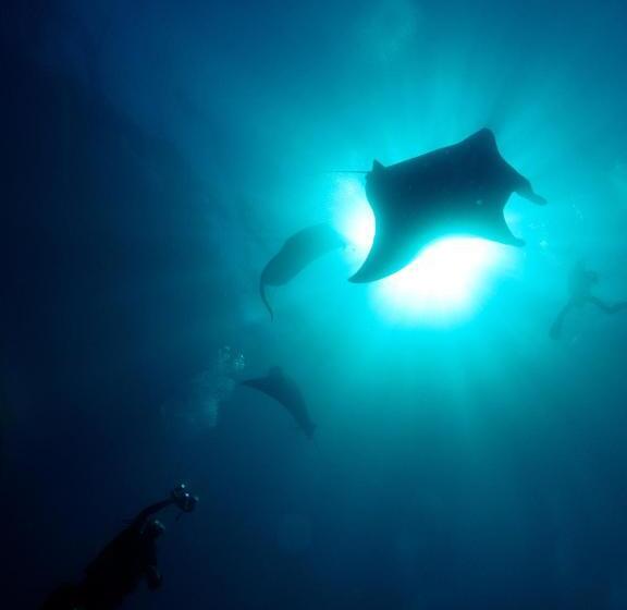 בית מלון כפרי Siddhartha Oceanfront Resort & Spa Bali